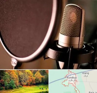 آموزشگاه دوبلوری در کردکوی