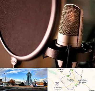 آموزشگاه دوبلوری در تایباد