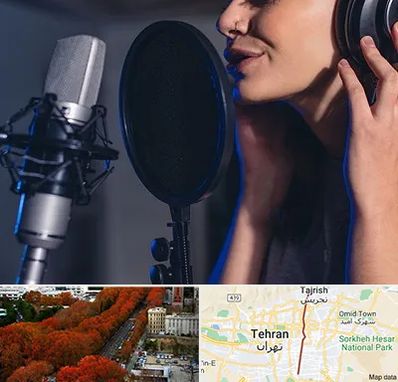 آموزشگاه دکلمه در ولیعصر 