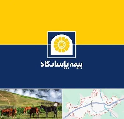 بیمه پاسارگاد در تالش