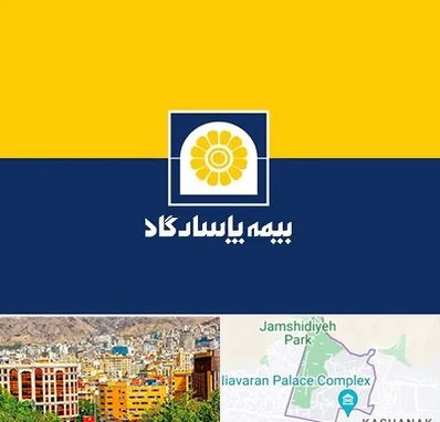 بیمه پاسارگاد در نیاوران 