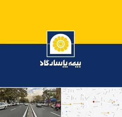 بیمه پاسارگاد در دولت