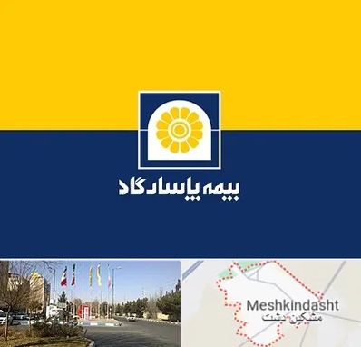بیمه پاسارگاد در مشکین دشت