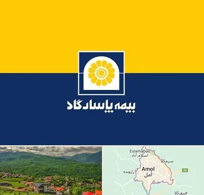 بیمه پاسارگاد در آمل