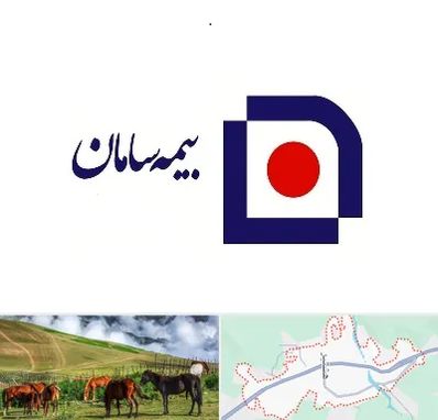 بیمه سامان در تالش