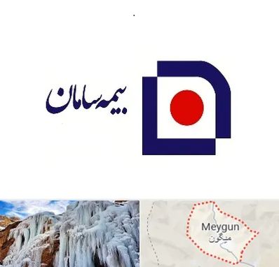 بیمه سامان در میگون