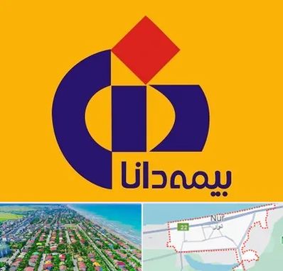 بیمه دانا در نور