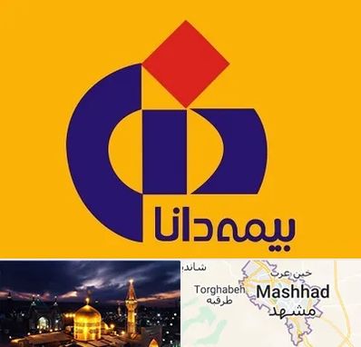 بیمه دانا در مشهد