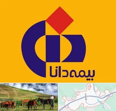 بیمه دانا در تالش