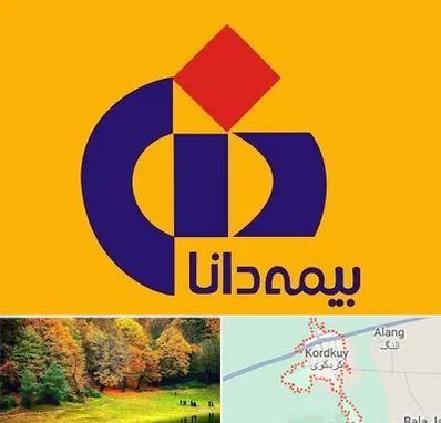 بیمه دانا در کردکوی