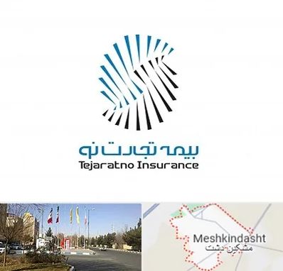 بیمه تجارت نو در مشکین دشت