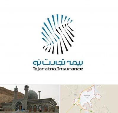 بیمه تجارت نو در شهرضا