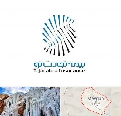 بیمه تجارت نو در میگون