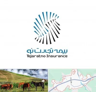 بیمه تجارت نو در تالش