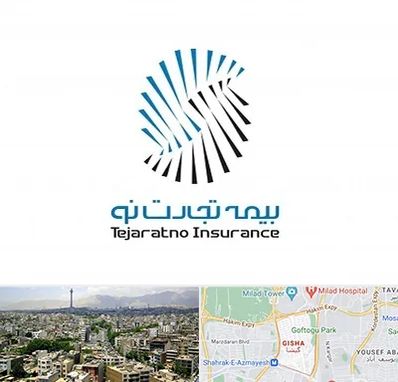 بیمه تجارت نو در گیشا 