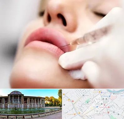 کلینیک تزریق ژل لب در عفیف آباد شیراز