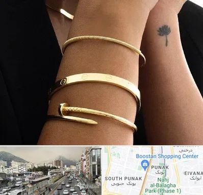 فروشگاه بنگل در پونک 