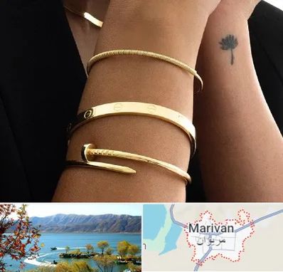 فروشگاه بنگل در مریوان