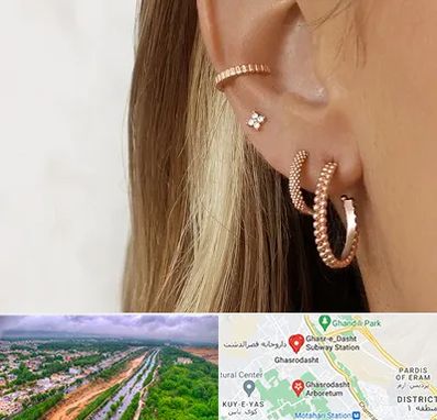 فروشگاه گوشواره در قصرالدشت شیراز