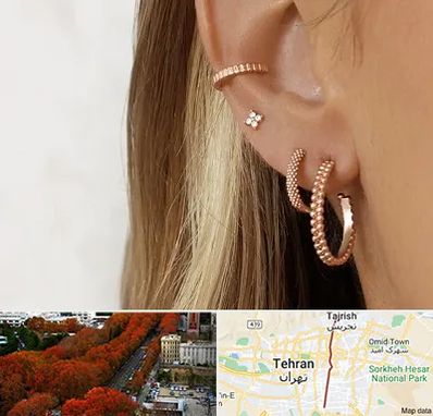 فروشگاه گوشواره در ولیعصر 