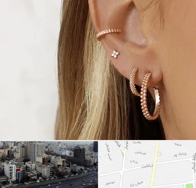 فروشگاه گوشواره در زرتشت