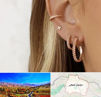فروشگاه گوشواره در خراسان شمالی