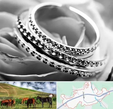 فروشگاه نقره در تالش