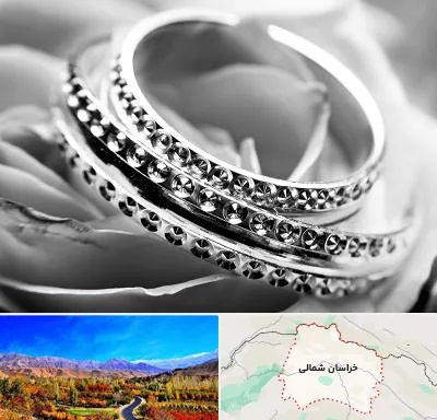 فروشگاه نقره در خراسان شمالی
