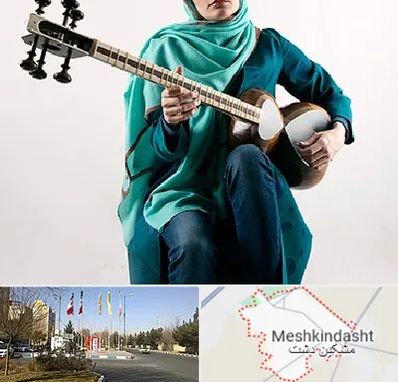 آموزشگاه تار در مشکین دشت