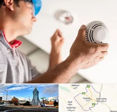 تعمیر دزدگیر در تایباد