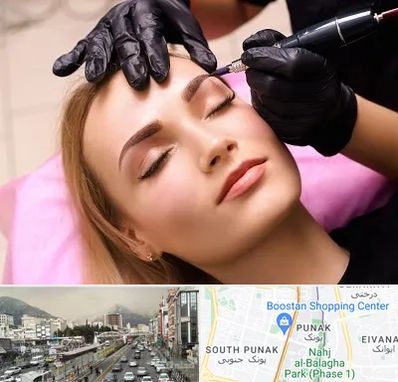 آرایش دائم در پونک