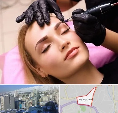 آرایش دائم در محمودیه