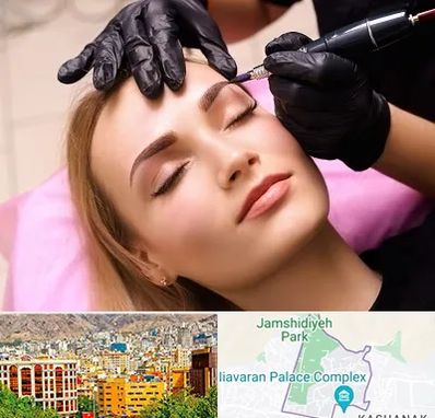 آرایش دائم در نیاوران