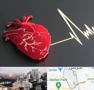 متخصص الکتروفیزیولوژی در الهیه