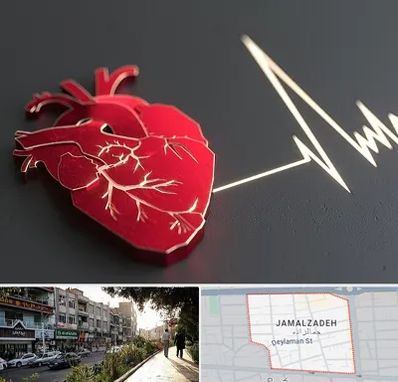 متخصص الکتروفیزیولوژی در خیابان جمالزاده