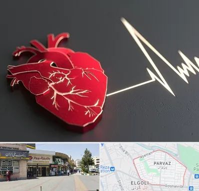 متخصص الکتروفیزیولوژی در پرواز تبریز