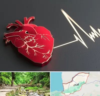 متخصص الکتروفیزیولوژی در گلستان