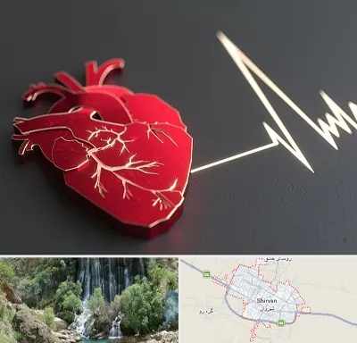 متخصص الکتروفیزیولوژی در شیروان