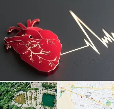 متخصص الکتروفیزیولوژی در وکیل آباد مشهد