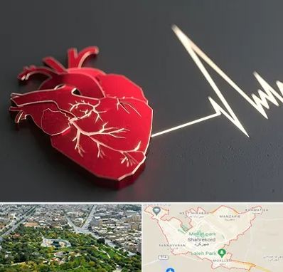 متخصص الکتروفیزیولوژی در شهرکرد