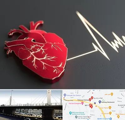 متخصص الکتروفیزیولوژی در پارک وی