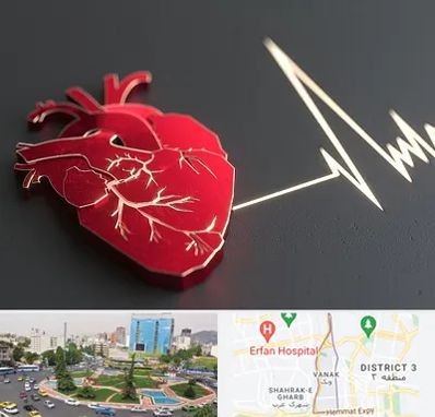 متخصص الکتروفیزیولوژی در ونک