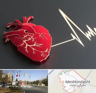 متخصص الکتروفیزیولوژی در مشکین دشت