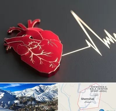 متخصص الکتروفیزیولوژی در شمشک