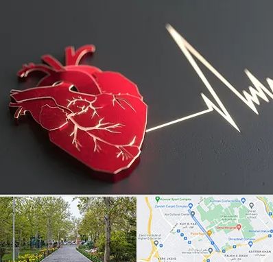 متخصص الکتروفیزیولوژی در قدوسی غربی شیراز