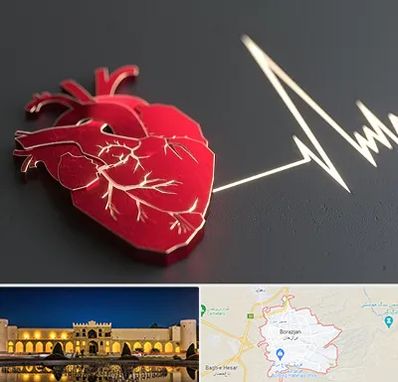 متخصص الکتروفیزیولوژی در برازجان