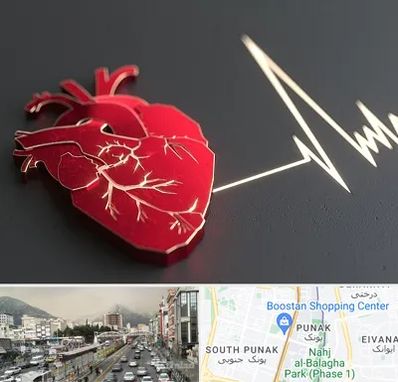 متخصص الکتروفیزیولوژی در پونک