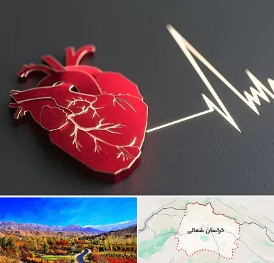 متخصص الکتروفیزیولوژی در خراسان شمالی