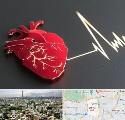 متخصص الکتروفیزیولوژی در گیشا