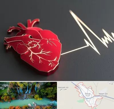 متخصص الکتروفیزیولوژی در دورود